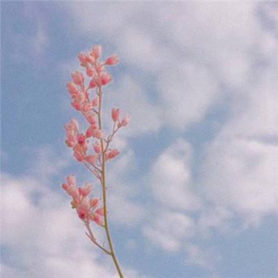 葫芦娃3d版手游下载